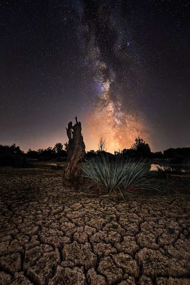 Photograph by Martin Kucera