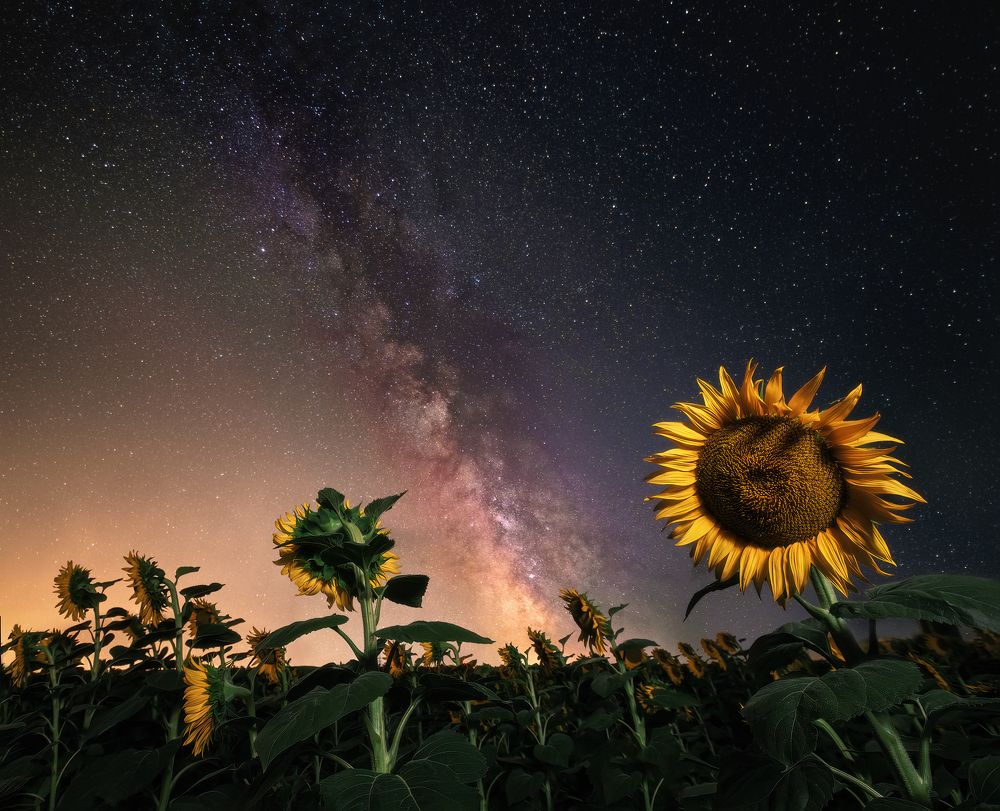 Photograph by Martin Kucera