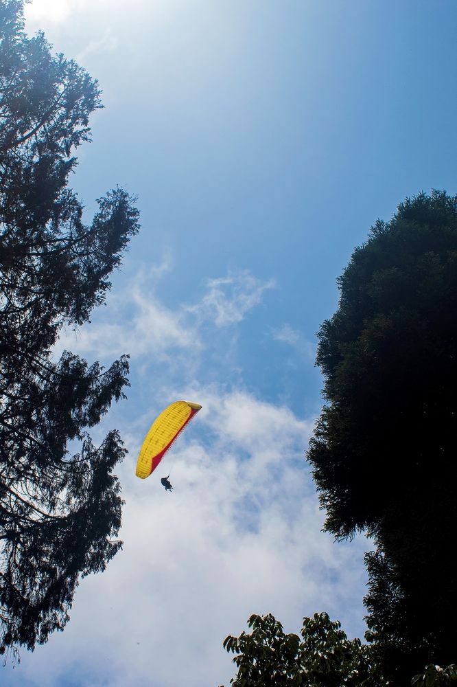 Photograph by saikat chanda