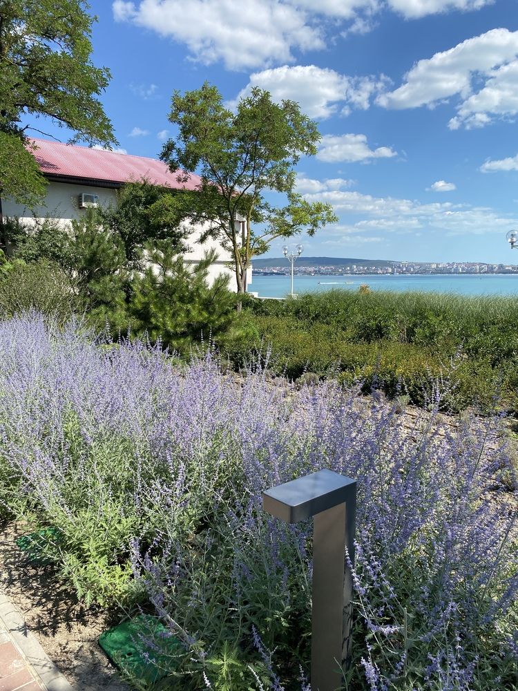 Photograph by Konstantin Kalmykov