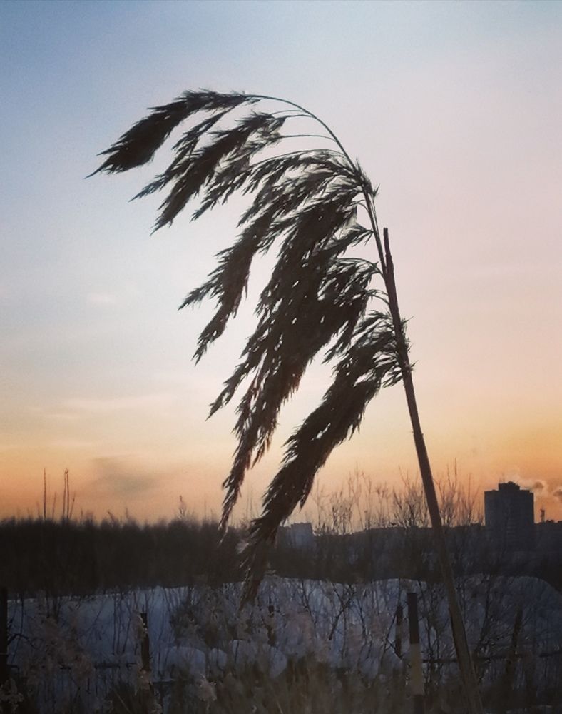 Photograph by Галина Смирнова