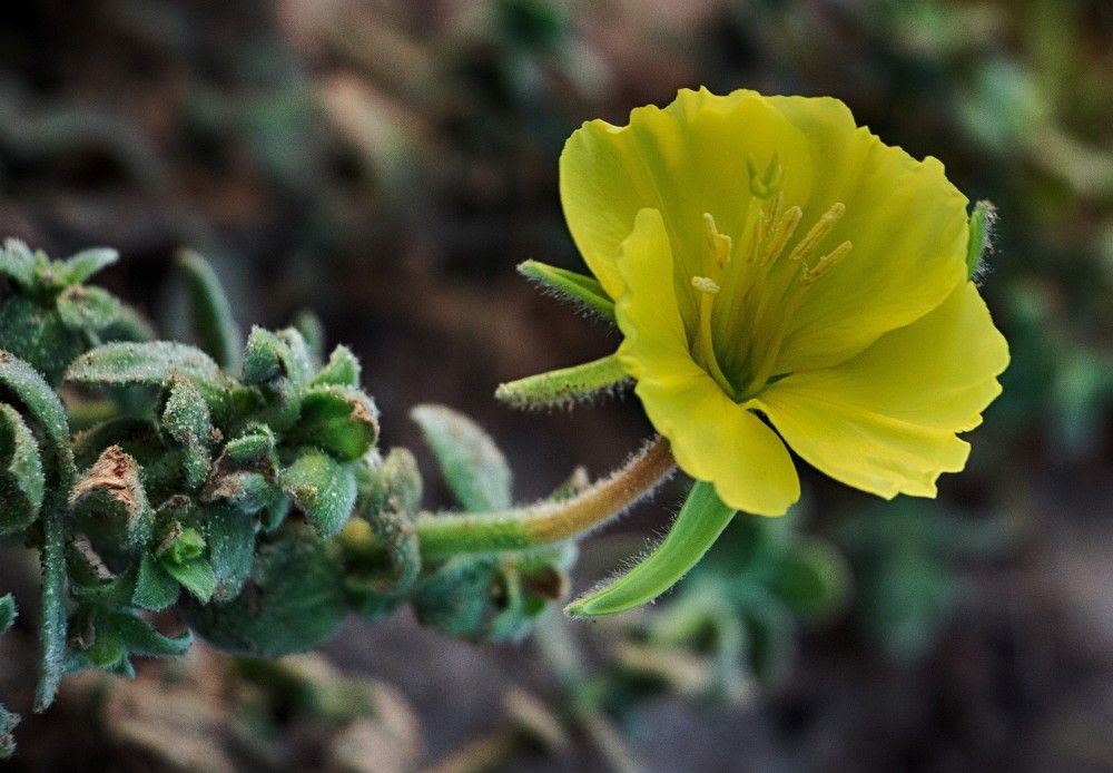 Photograph by Людмила Бутова