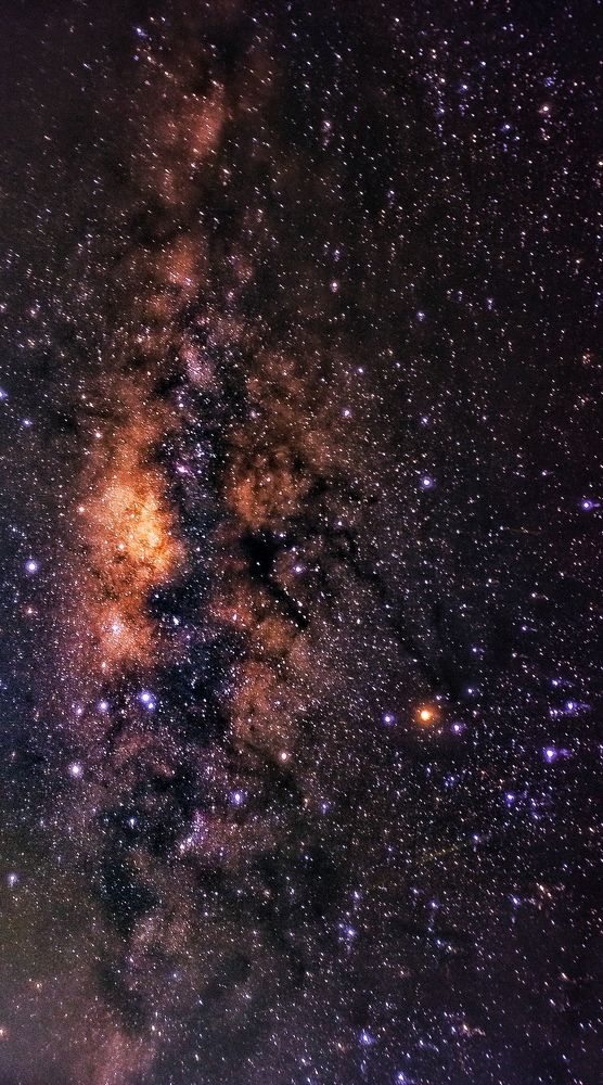 Photograph by Harisankar B