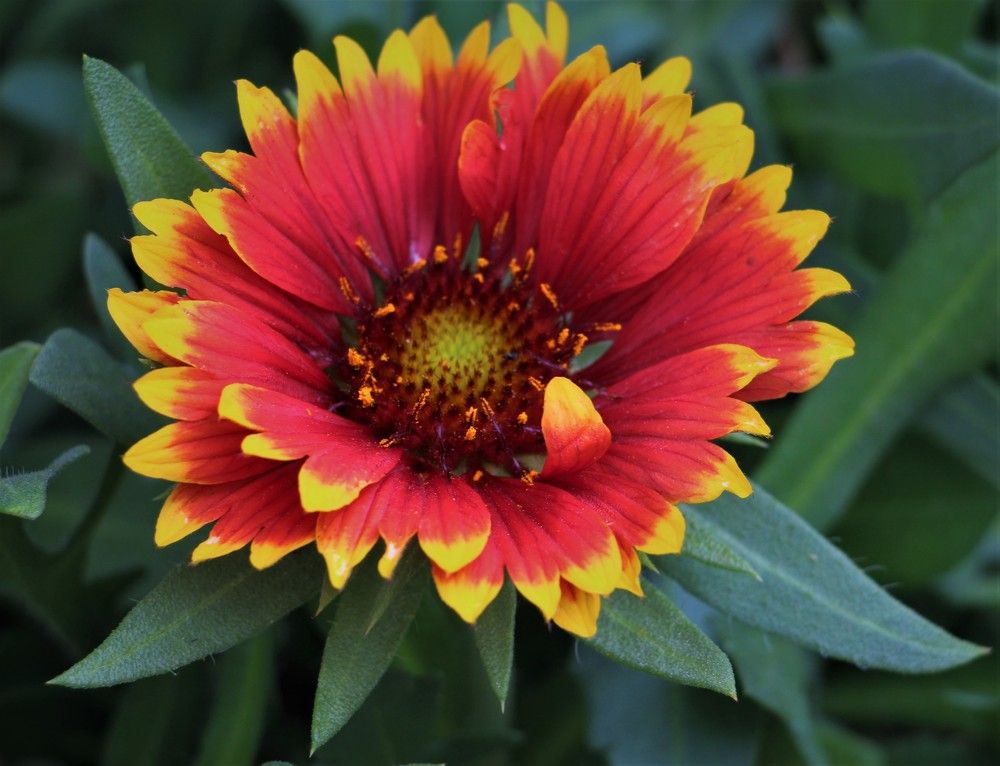 Photograph by Людмила Бутова