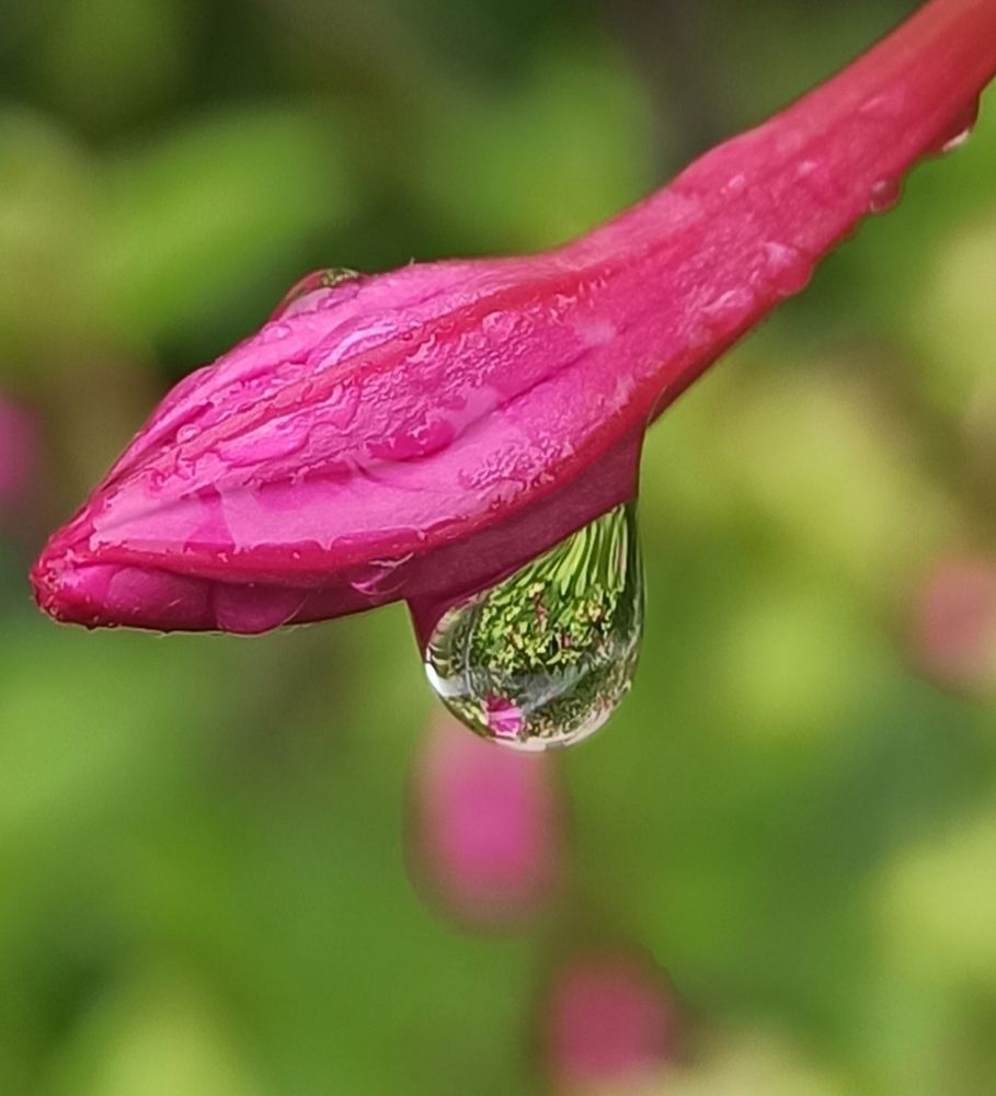 Photograph by Тихонова Ольга