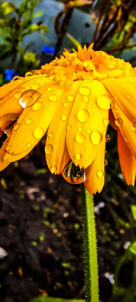 Photograph by Наталья