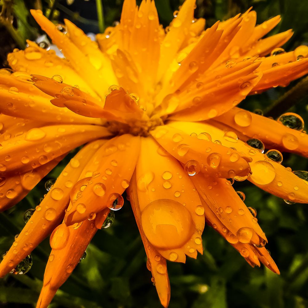 Photograph by Наталья