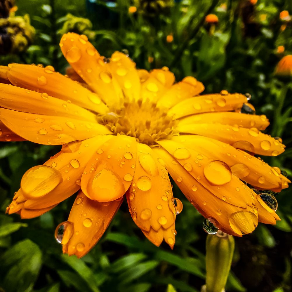 Photograph by Наталья