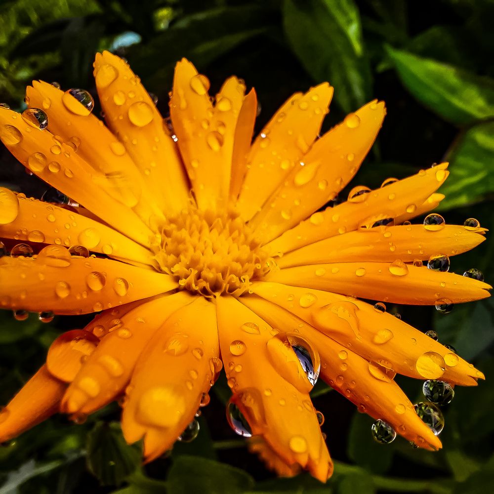 Photograph by Наталья