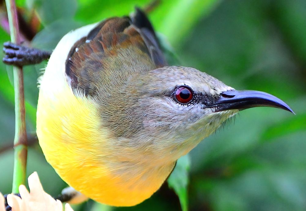 Photograph by Abhishek Manna