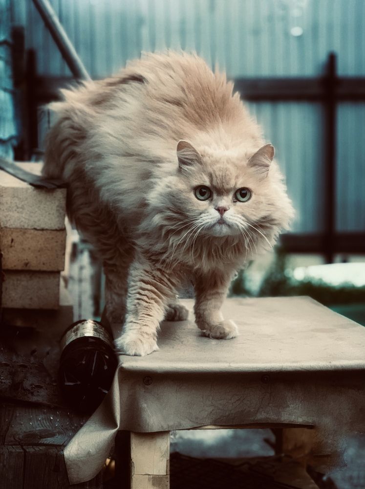 Photograph by Анна Третьякова