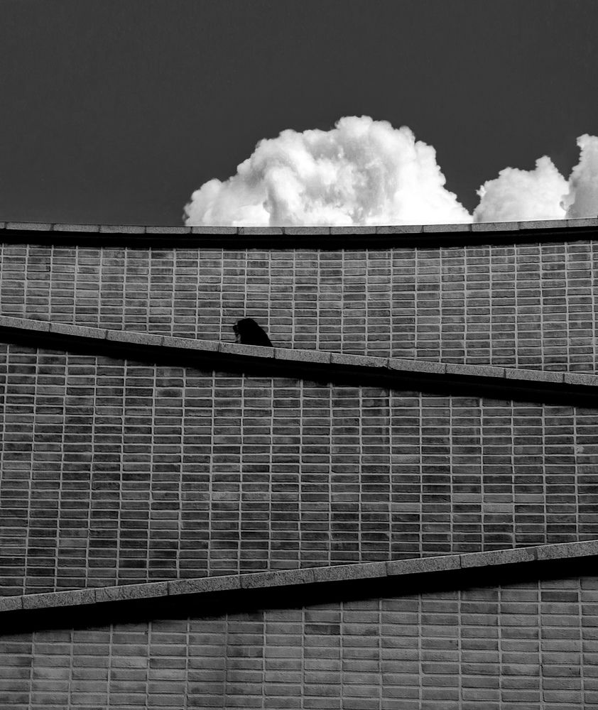 Photograph by ali asghar ahngari