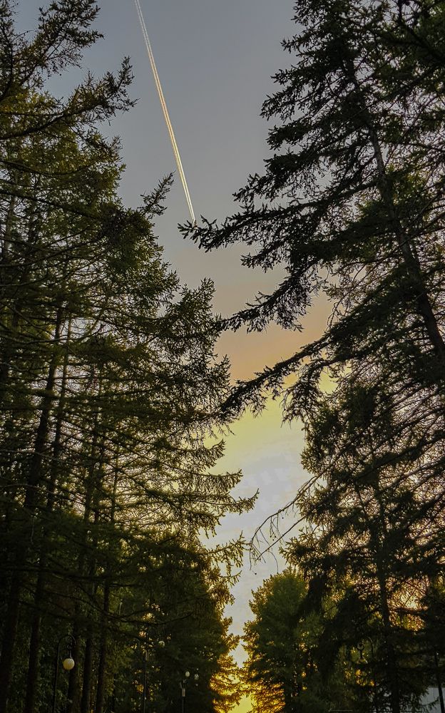 Photograph by Марина Горюнова