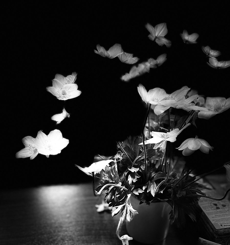 Photograph by Ашкинази-Исаченко Владимир