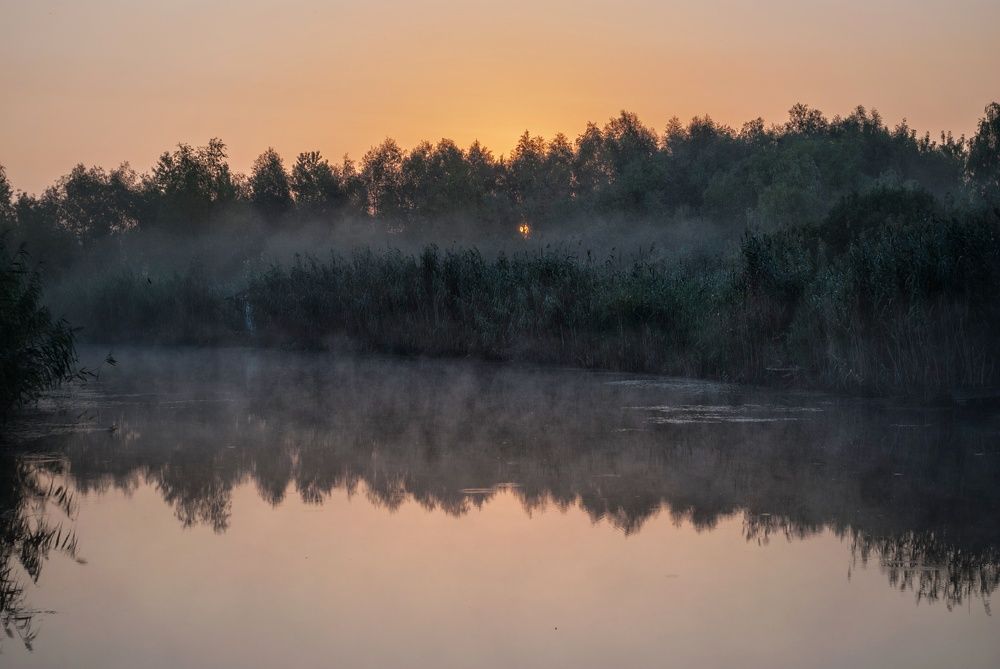 Photograph by Тамила Гутцул