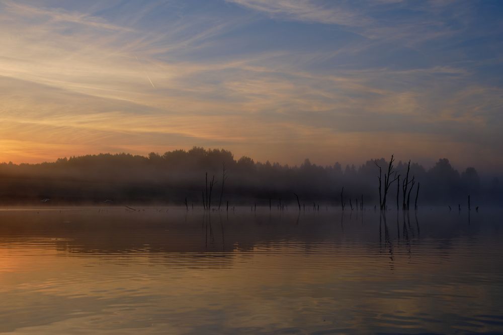 Photograph by Михаил Бронников