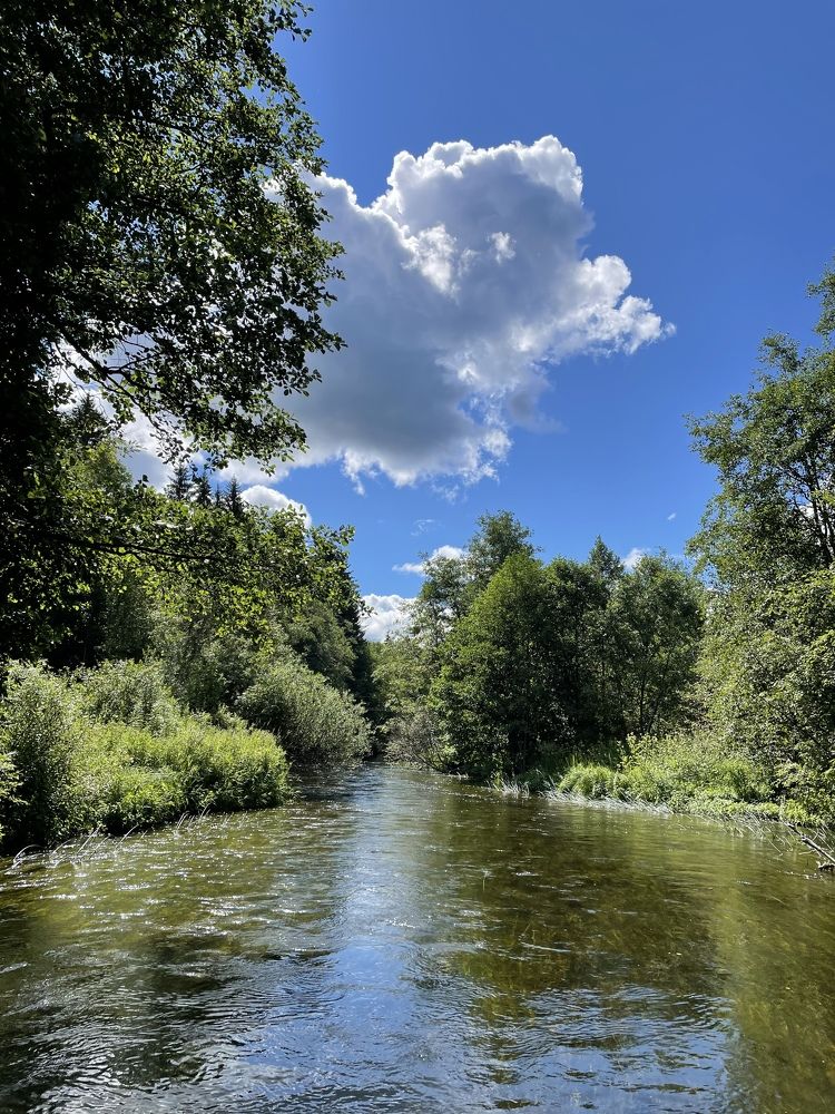 Фотография автора Олеся Шипихина