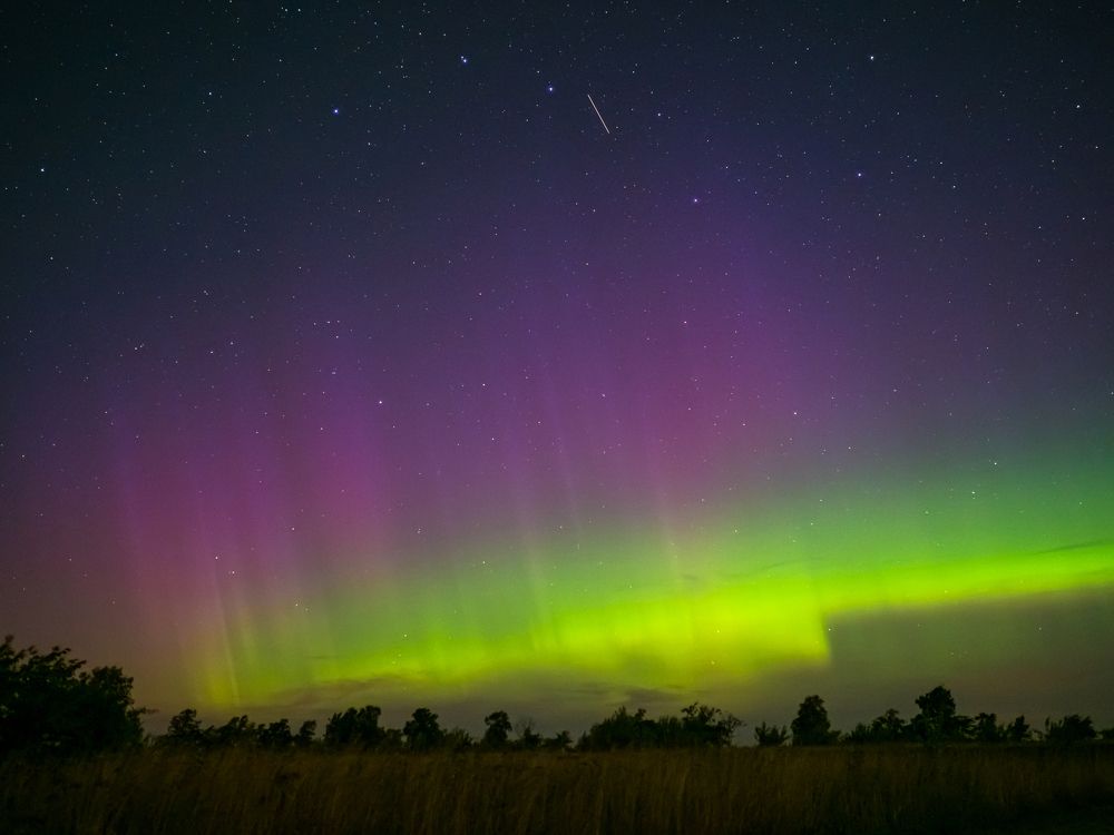 Photograph by Olga Link