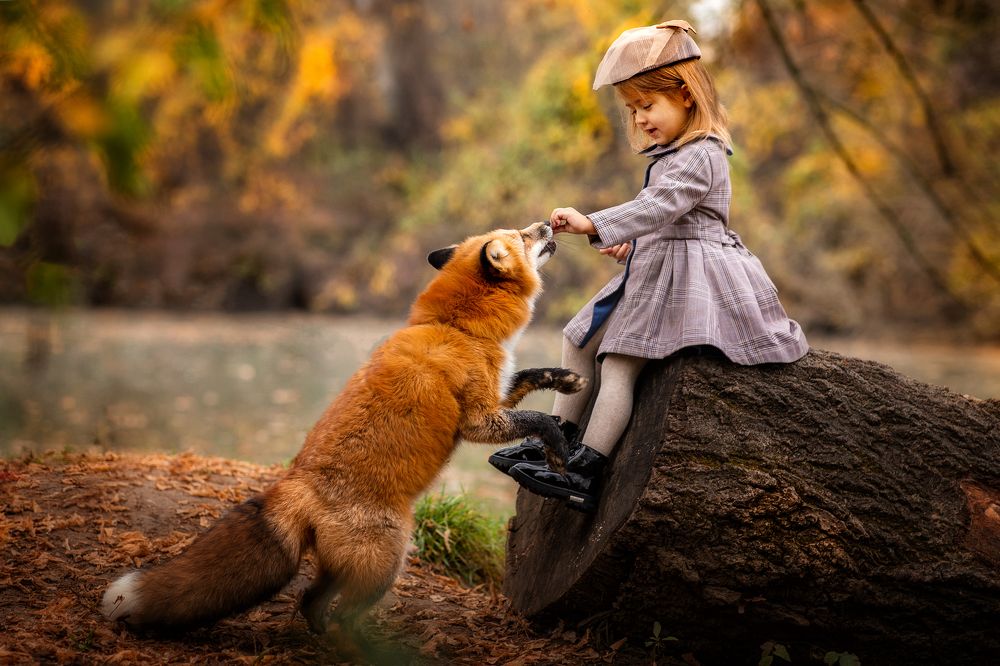 Photograph by Дайман Лия