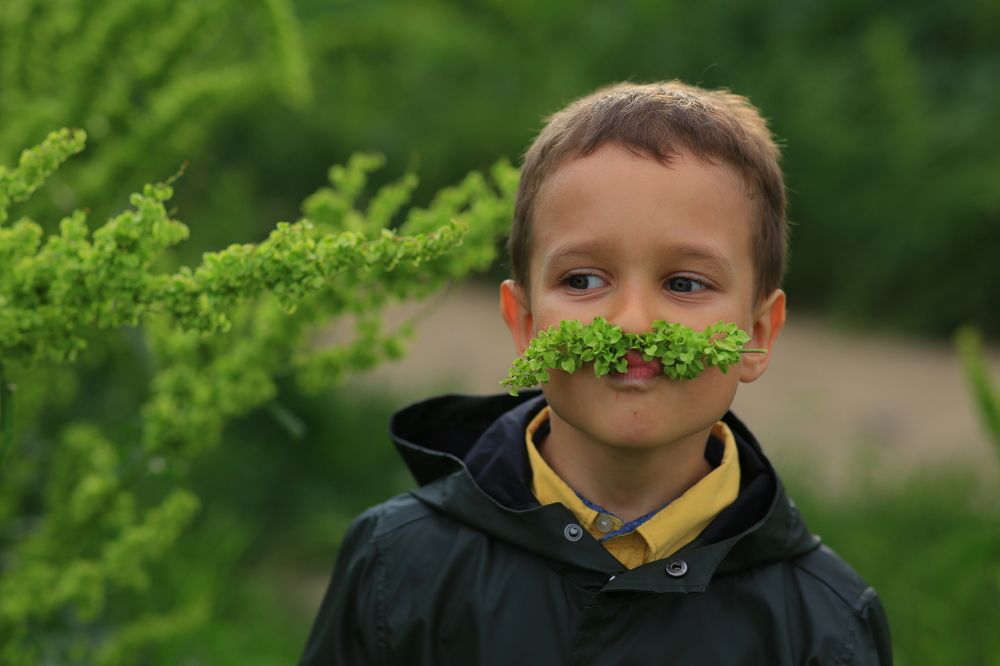 Photograph by Дайман Лия