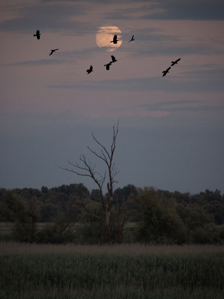 Photograph by Bruno Golemac