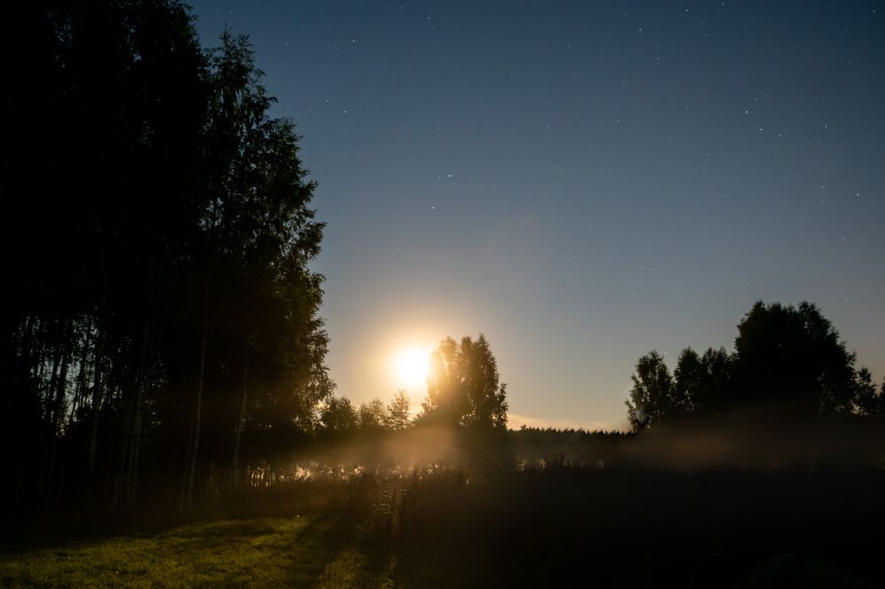 Photograph by Часова Екатерина