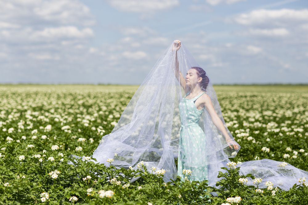 нежные цветки