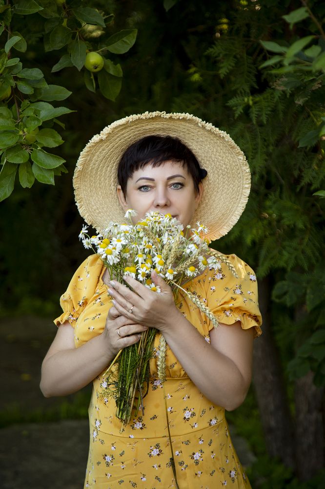 Просто ромашки