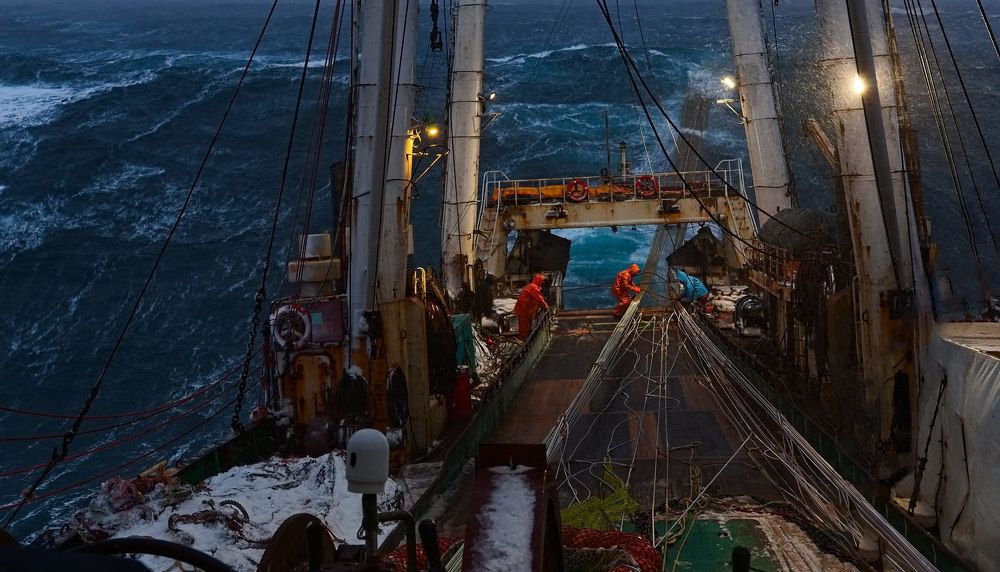 штормовое утро