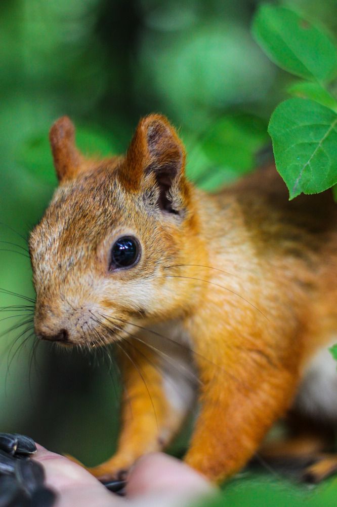 Photograph by Жанна Цветкова
