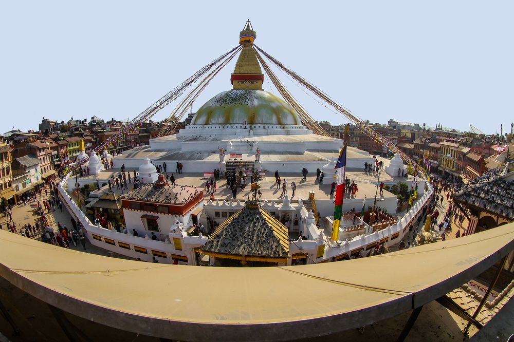 Фотография автора Najla Angawi