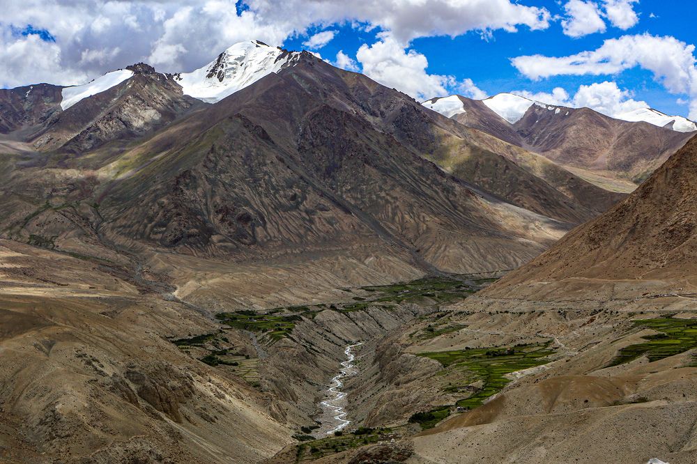 Фотография автора Najla Angawi