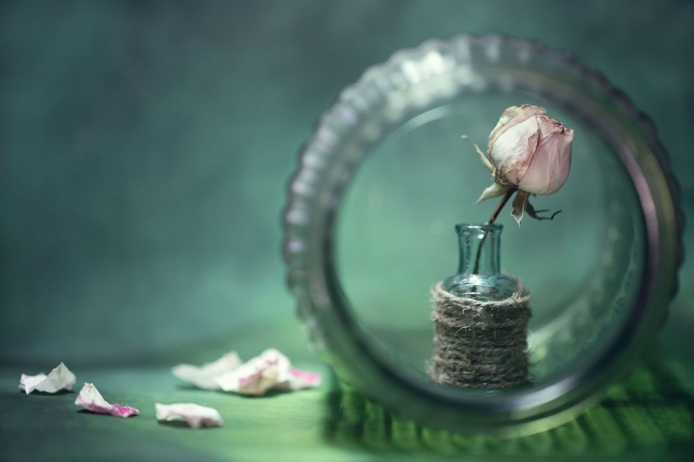 Photograph by Сергей Романченко