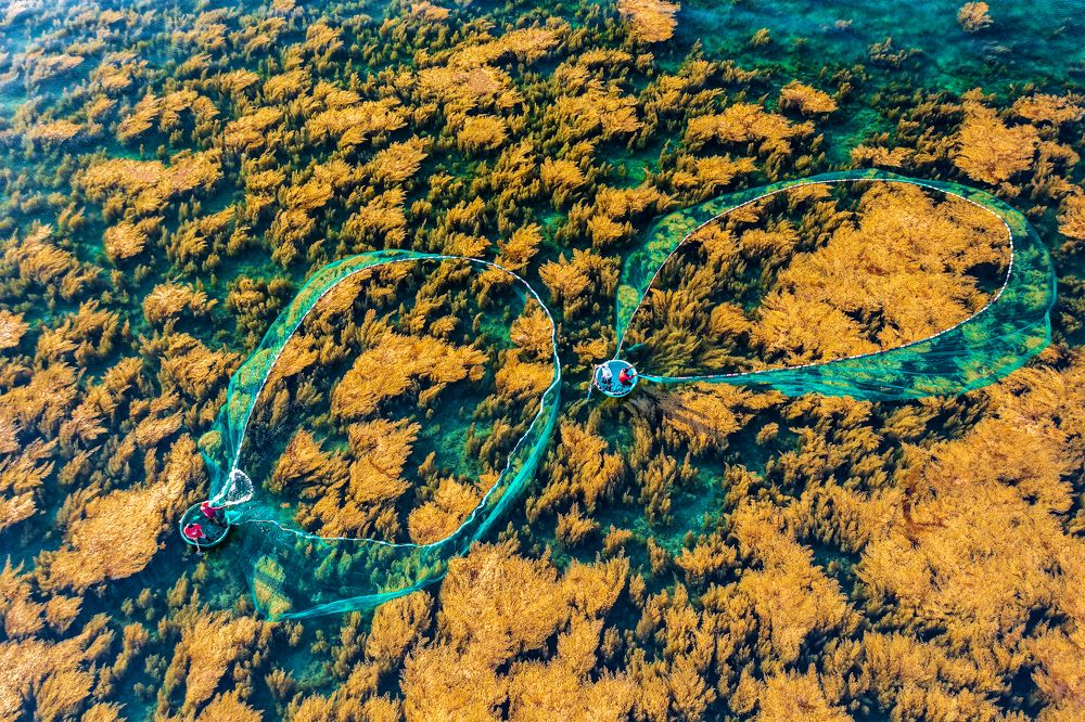 Photograph by Dinh Phong