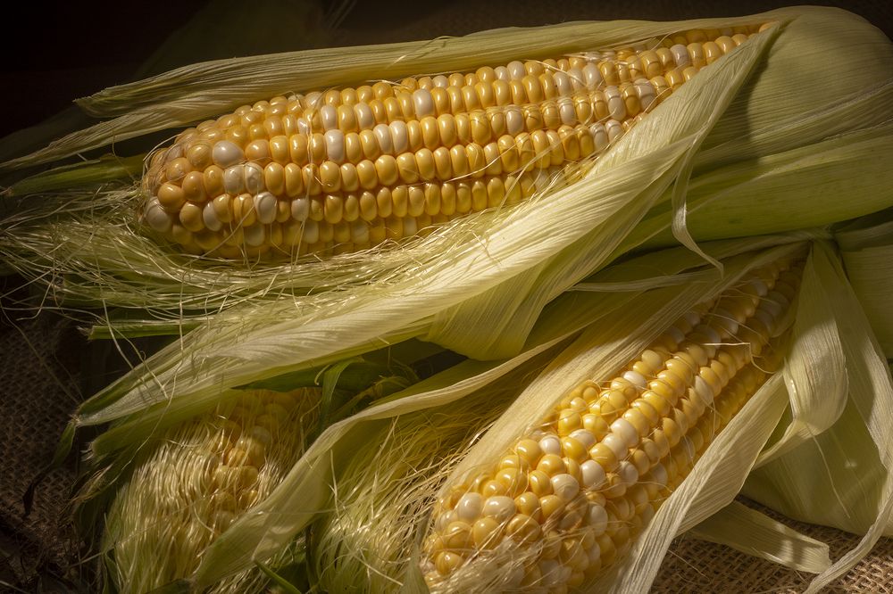 Photograph by Константин Чимбай