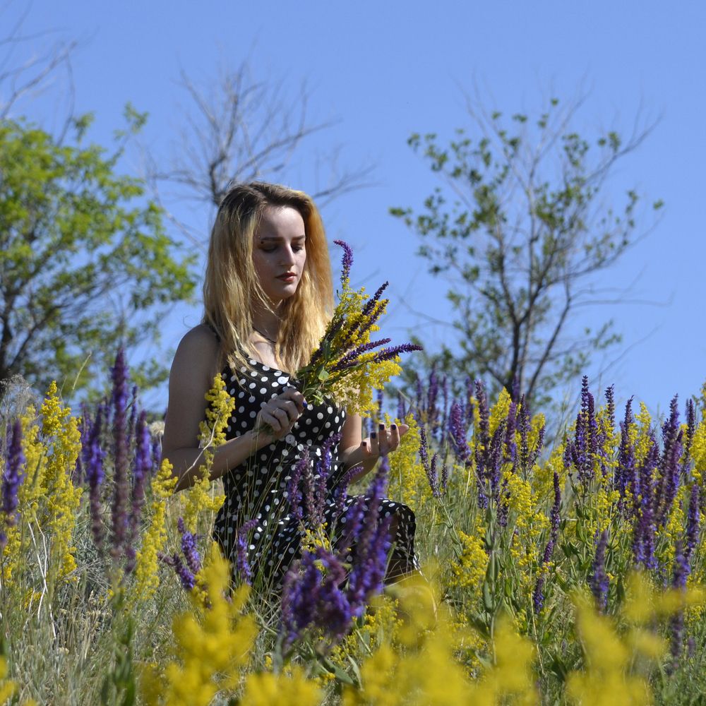 Фотография автора Nikita Gaidarenko