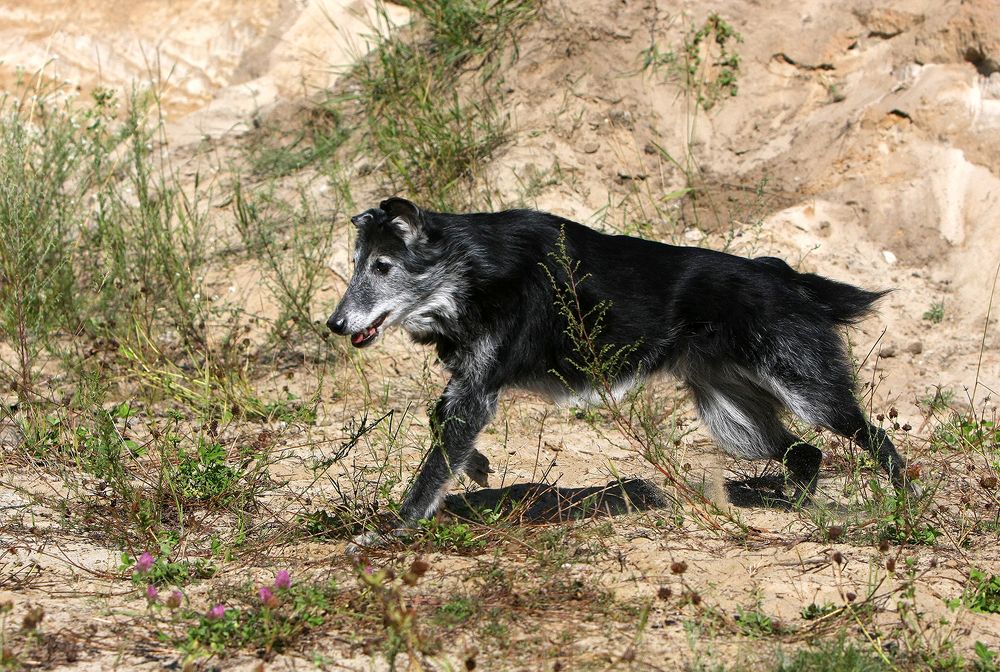 Фотография автора Надежда Лисицына
