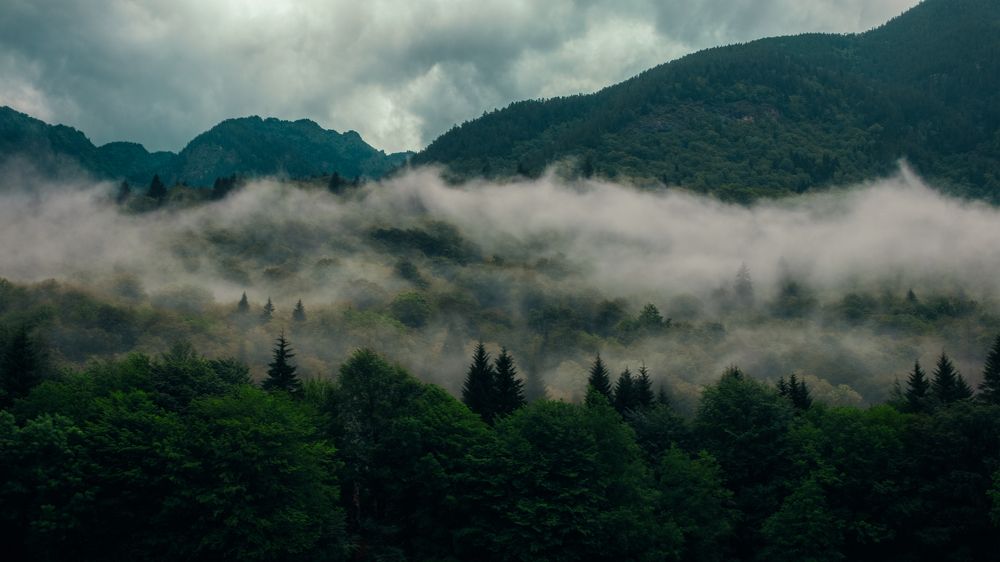 Photograph by Екатерина Кваша