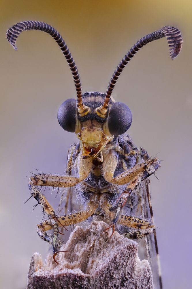 Photograph by Юрий Юрьевич