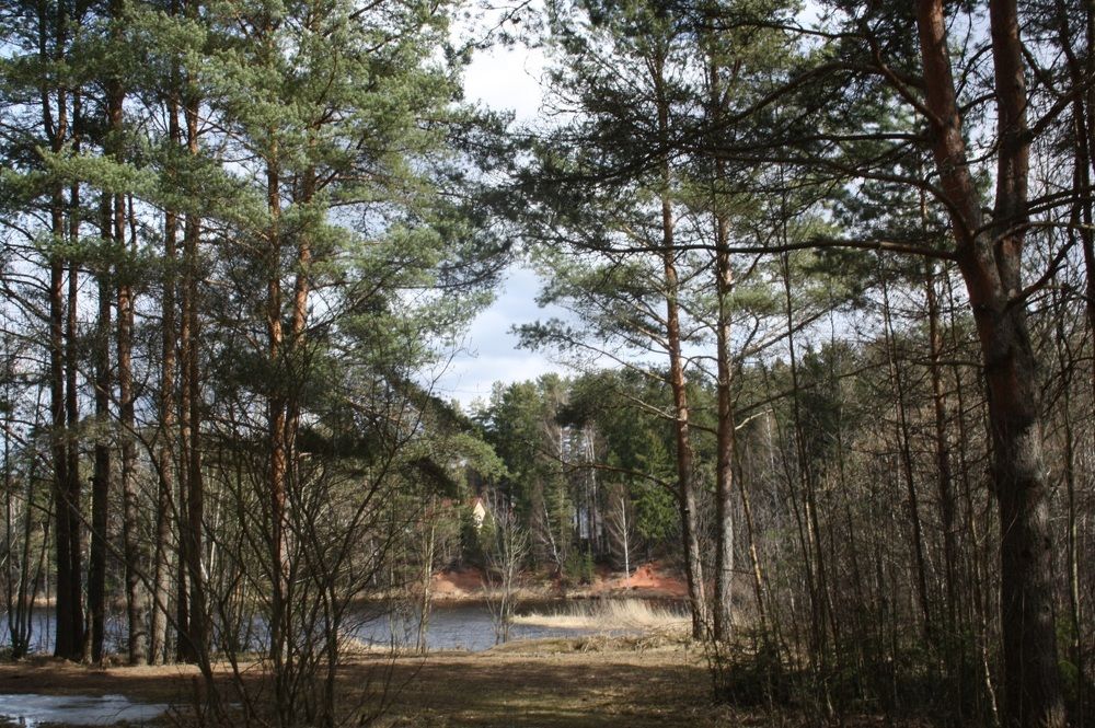 Фотография автора Сергей