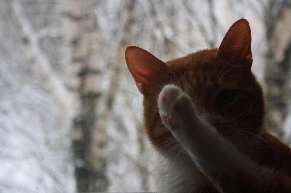 Фотография автора Сергей