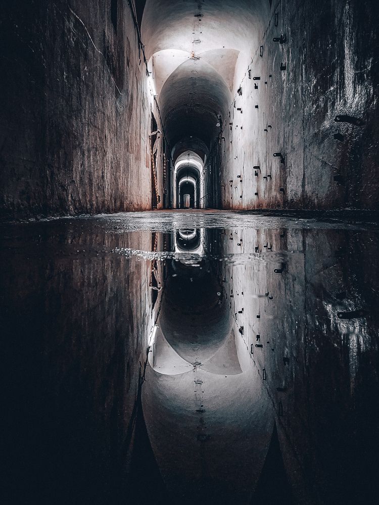 Photograph by Елена