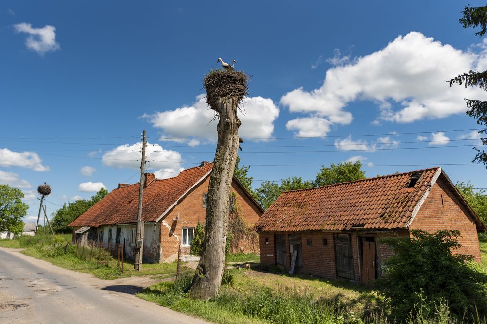 Аист на крыше, счастье под крышей...