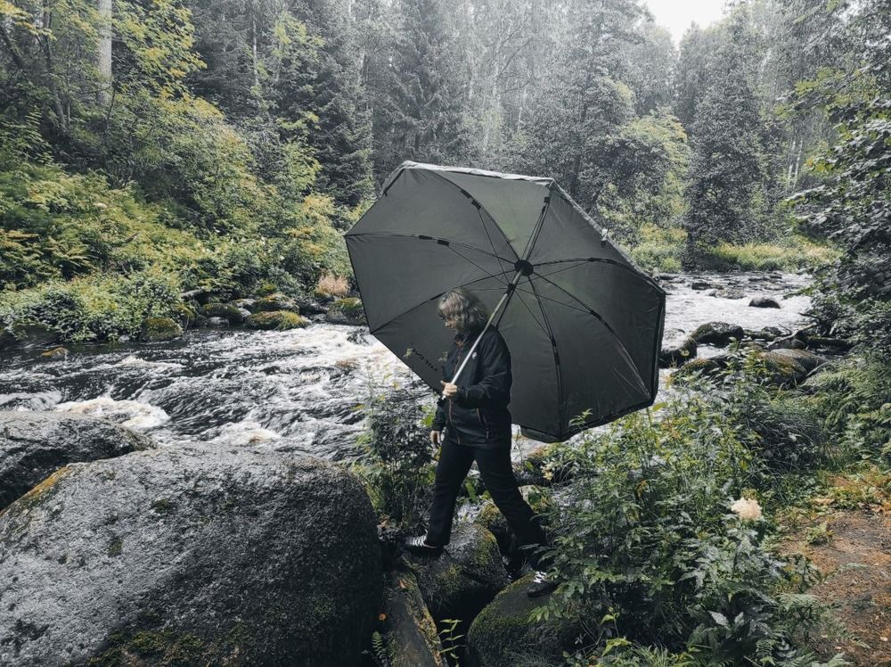 Линдуловская роща.