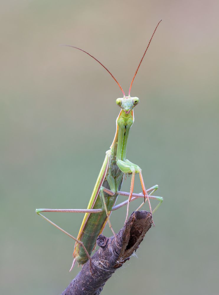 Photograph by Алексей Зайцев