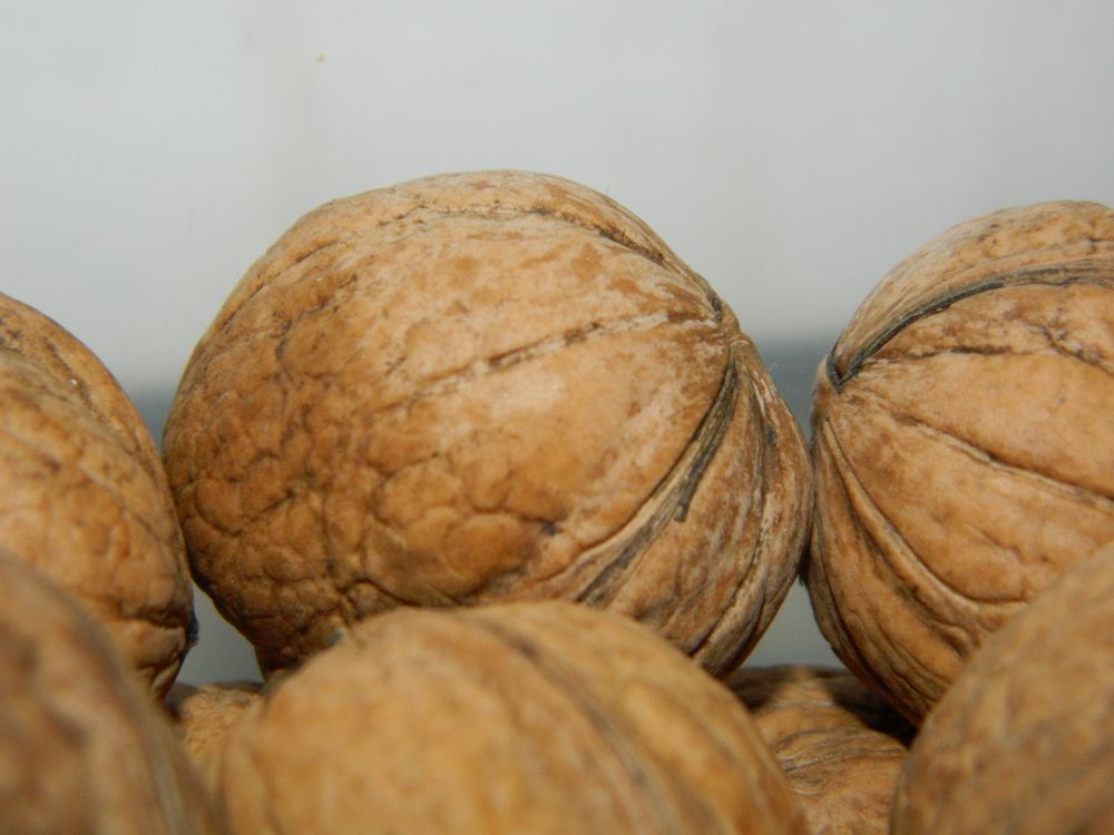 Photograph by Елизавета Мишина