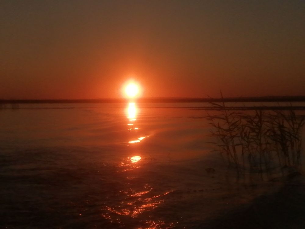 Photograph by Галина Сабитова