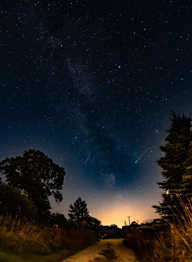 Photograph by Olga Link