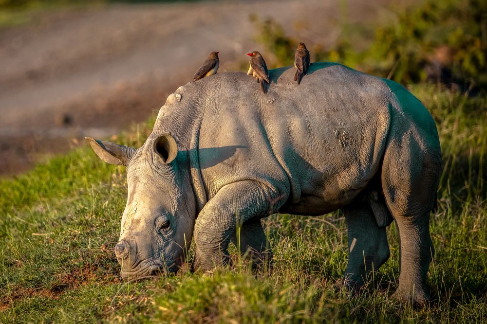 Photograph by Vita Potomova