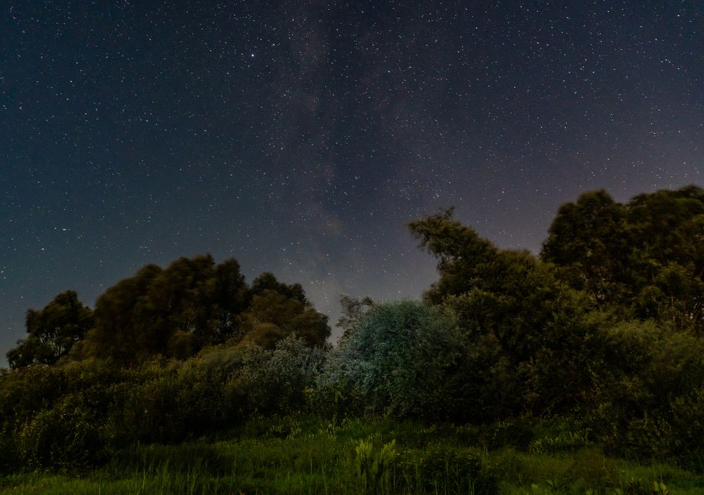 Photograph by Владимир Коновалов